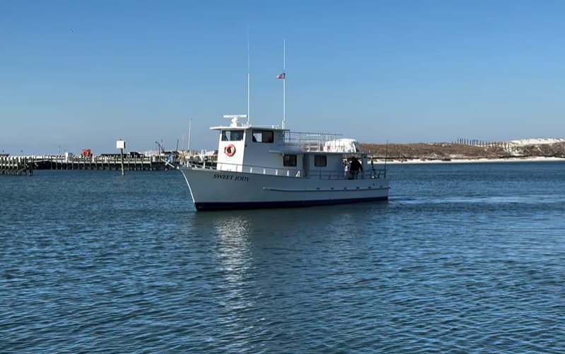 Sweet Jody Dolphin Cruise Destin Sweet Jody Dolphin Cruise Destin